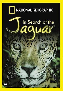 INSEARCHOFTHEJAGUAR