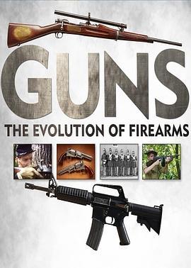 枪支：火器的演变史