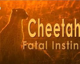 CheetahFatalInstinct