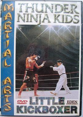 LittleKickboxer