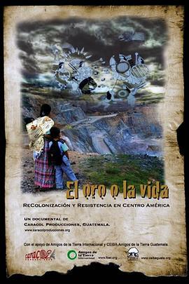 Eloroolavida