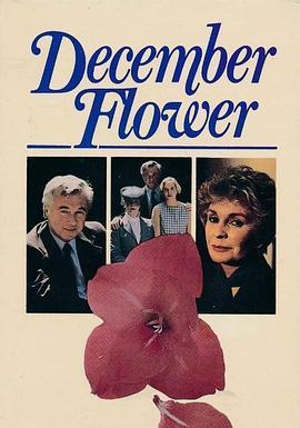 DecemberFlower