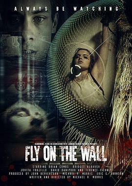 FlyontheWall