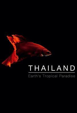 泰国：地球上的赤道天堂