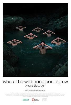 WheretheWildFrangipanisGrow