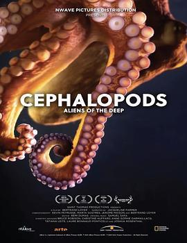 CEPHALOPODS:ALIENSOFTHEDEEP