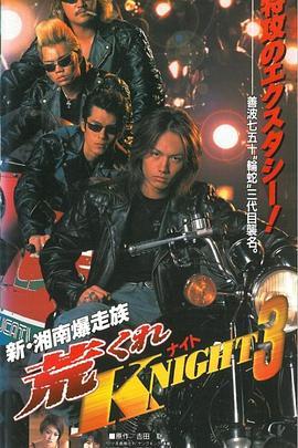 新湘南爆走族荒くれKNIGHT(実写版)3